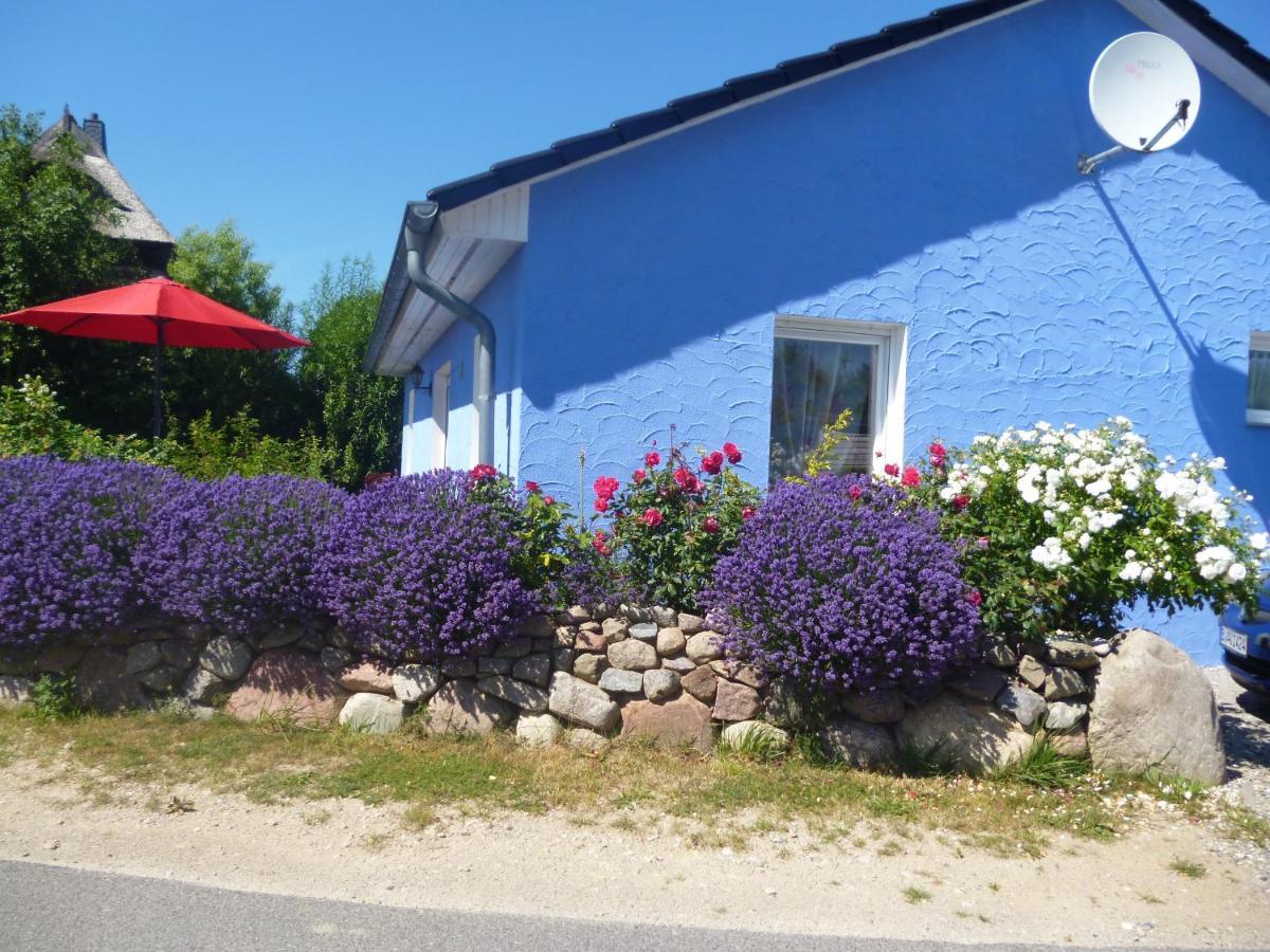 Villa Haus Lavendel Lancken Esterno foto
